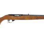 Ruger 10/22 .22 LR Semi-Auto Rifle