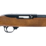 Ruger 10/22 .22 LR Semi-Auto Rifle