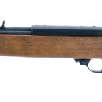 Ruger 10/22 .22 LR Semi-Auto Rifle