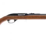 Marlin / Glenfield 75 .22 LR Semi Auto Rifle