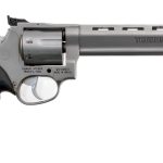 Taurus Tracker .17 HMR Revolver