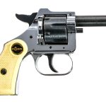Rohm RG10 .22 Short Revolver