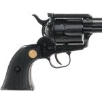 Chiappa Puma Buntline .22 LR SA Revolver