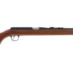 Daisy Heddon VL Caseless .22 Single Shot Rifle