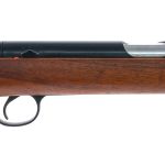 Daisy Heddon VL Caseless .22 Single Shot Rifle