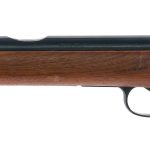 Daisy Heddon VL Caseless .22 Single Shot Rifle