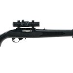Ruger 10/22 .22 LR Semi-Auto Rifle