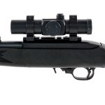 Ruger 10/22 .22 LR Semi-Auto Rifle