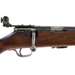 Savage Model 19 NRA .22 LR Bolt Action Rifle