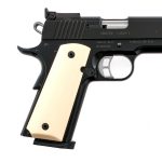 Kimber Rimfire Target .22 LR Semi-Auto Pistol