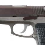 Ruger P94 .40 S&W Semi Auto Pistol