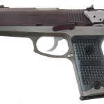 Ruger P94 .40 S&W Semi Auto Pistol