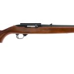 Ruger 10/22 .22 Long Rifle Semi-Auto Rifle