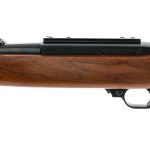 Ruger 10/22 .22 Long Rifle Semi-Auto Rifle