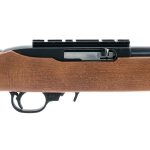 Ruger 10/22 Carbine .22 LR Semi-Auto Rifle