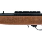 Ruger 10/22 Carbine .22 LR Semi-Auto Rifle