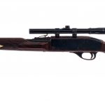 Remington Nylon 66 .22 LR Semi Auto Rifle