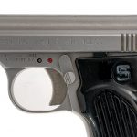 Sterling Arms Stainless .22 LR Semi Auto Pistol