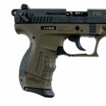 Walther P22 .22 LR Semi Auto Pistol