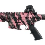 Smith & Wesson M&P 15-22 .22LR Semi Auto Rifle