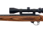 Ruger 10/22 Carbine .22 LR Semi Auto Rifle