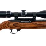 Ruger 10/22 Carbine .22 LR Semi Auto Rifle