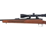 Remington 700 .22-250 Bolt Action Rifle