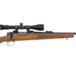Remington 700 .22-250 Bolt Action Rifle