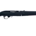 Ruger 10/22 Takedown .22 LR Semi-Auto Rifle