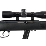 Savage 64 .22 LR Semi Auto Rifle