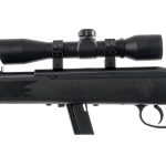 Savage 64 .22 LR Semi Auto Rifle