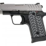 Springfield Armory 911 .380 ACP Semi Auto Pistol