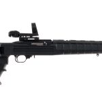 Ruger 10/22 .22 LR Semi Auto Rifle