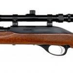 Marlin Glenfield 75 .22 LR Semi Auto Rifle