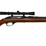 Marlin Glenfield 75 .22 LR Semi Auto Rifle