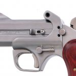 Bond Arms Texas Defender .45LC/.410 Pistol