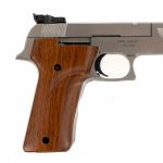 Smith & Wesson 2206TGT .22 LR Semi Pistol