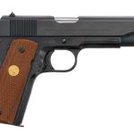 Colt 1911 Government Model .45 ACP