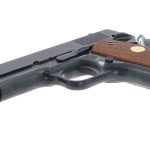 Colt 1911 Government Model .45 ACP