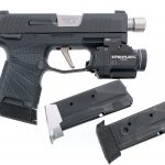 Sig Sauer P365 9mm Semi Auto Pistol