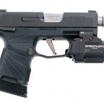 Sig Sauer P365 9mm Semi Auto Pistol