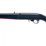 Ruger 10/22 Takedown .22 LR Semi Auto Rifle