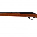 Marlin Glenfield 60 .22 LR Semi Auto Rifle
