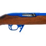 Ruger 10/22 .22 LR Semi Auto Rifle