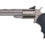 NAA Mini-Mag .22 Mag Revolver
