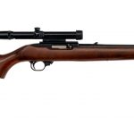 Ruger 10/22 Carbine .22 LR Semi Auto Rifle