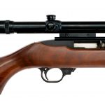 Ruger 10/22 Carbine .22 LR Semi Auto Rifle