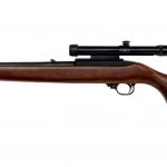Ruger 10/22 Carbine .22 LR Semi Auto Rifle