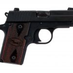Sig Sauer P238 .380 ACP Semi Auto Pistol