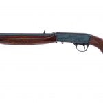 Norinco 22ATD .22LR Semi-Auto Rifle